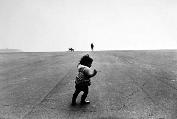 Katkin against the wind, Plymouth Hoe