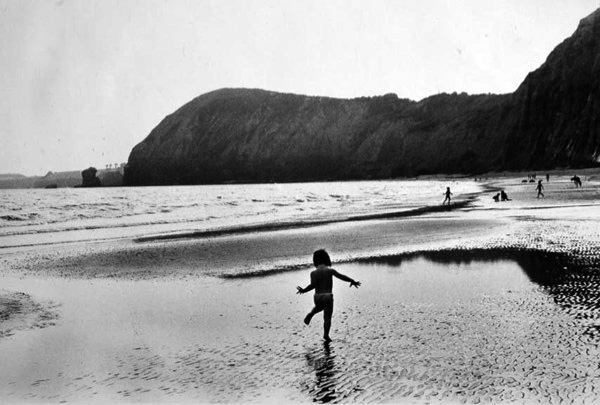 Katkin running on wet sand, Sidmouth