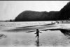 Katkin running on wet sand, Sidmouth