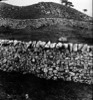 Stone Walls, Malham, Yorks